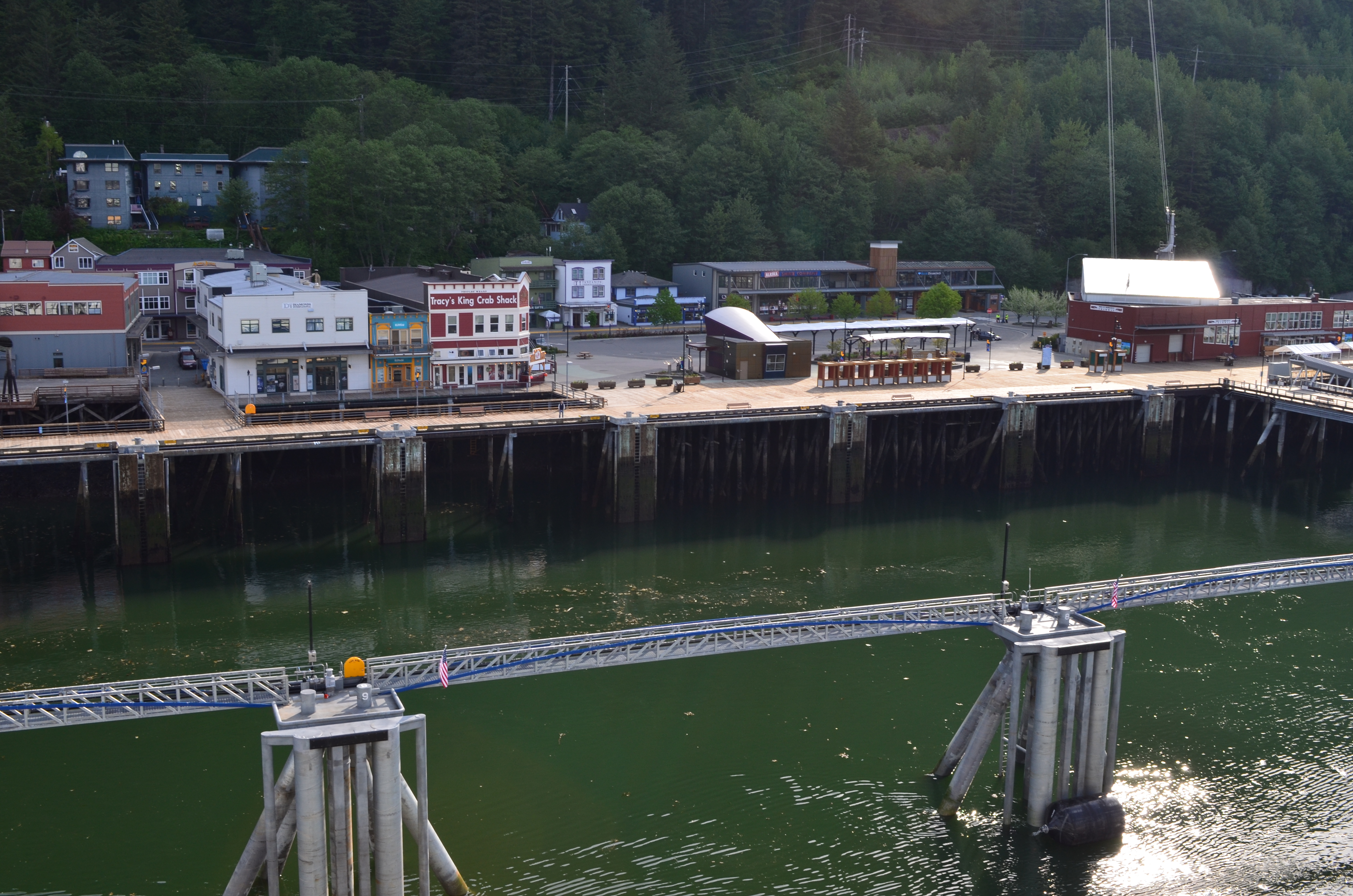 ./2017/08 - Alaska Cruise/08 - Juneau/DSC_0827.JPG